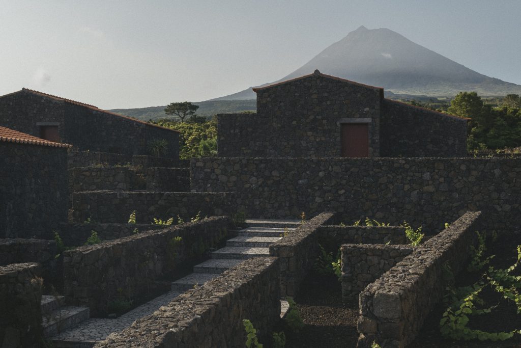 Madalena