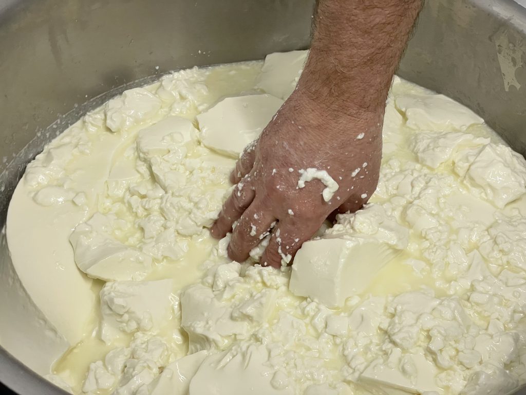 Queijo