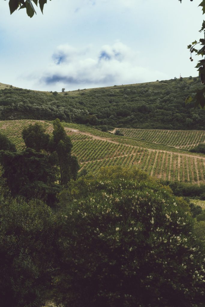 Quinta da Romeyra