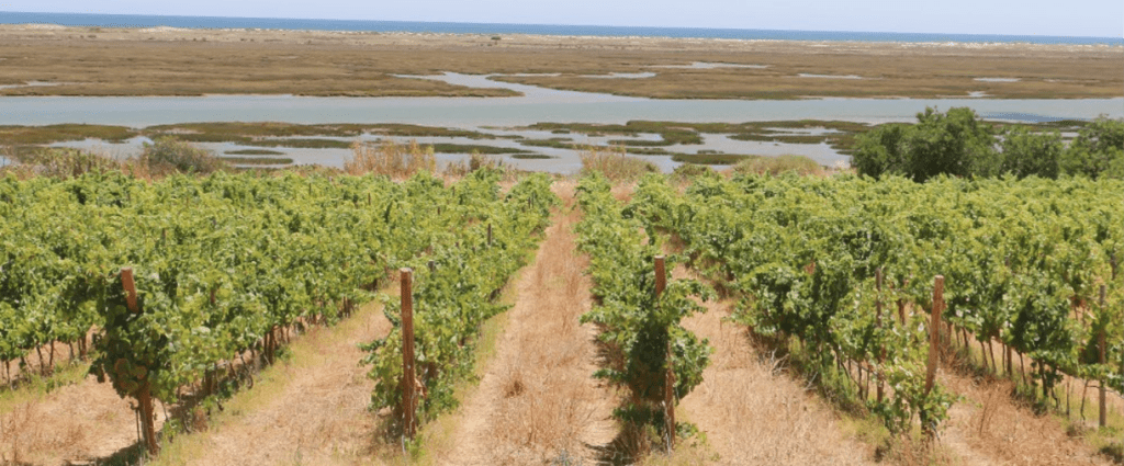 algarve