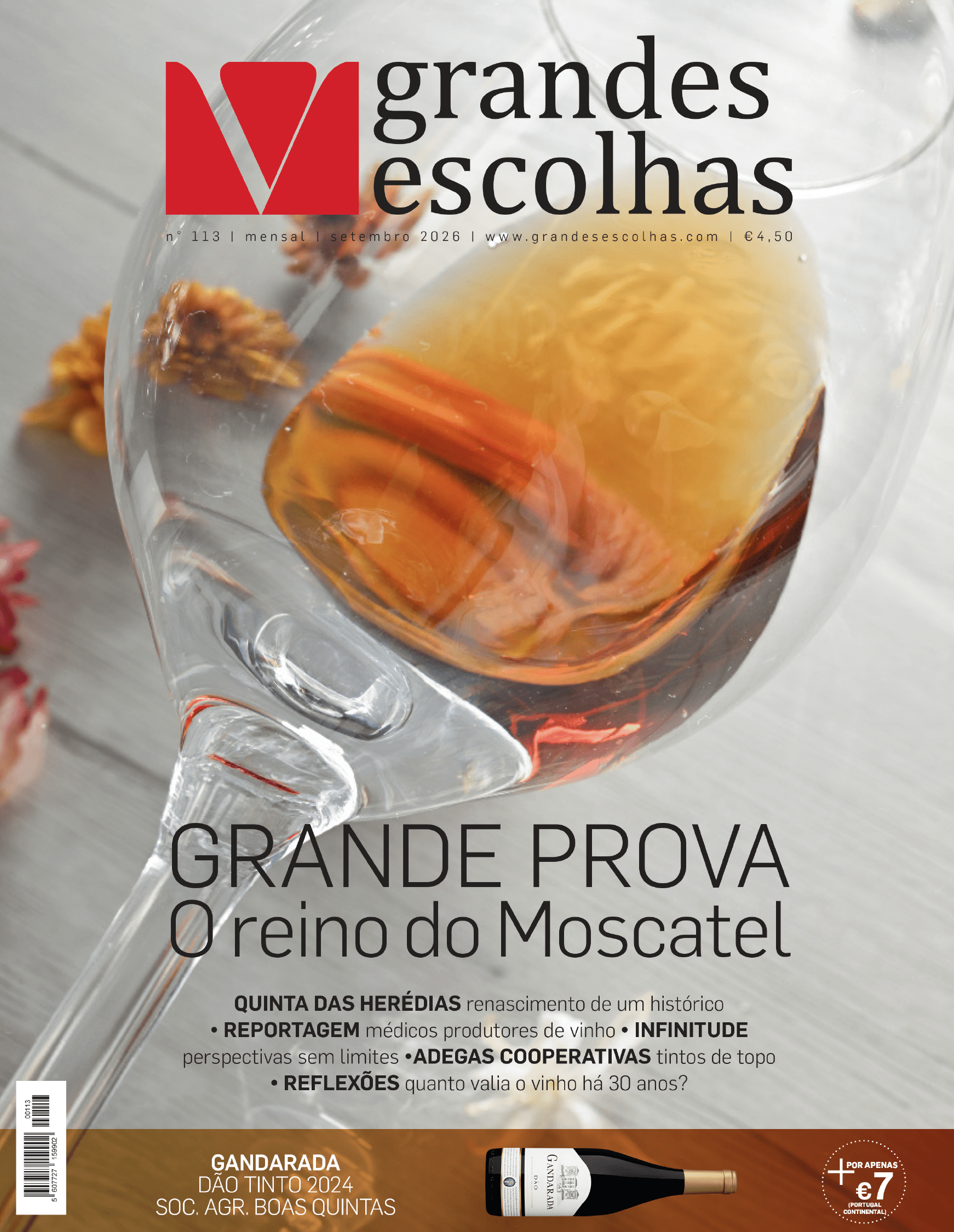 Capa 113_SET 26