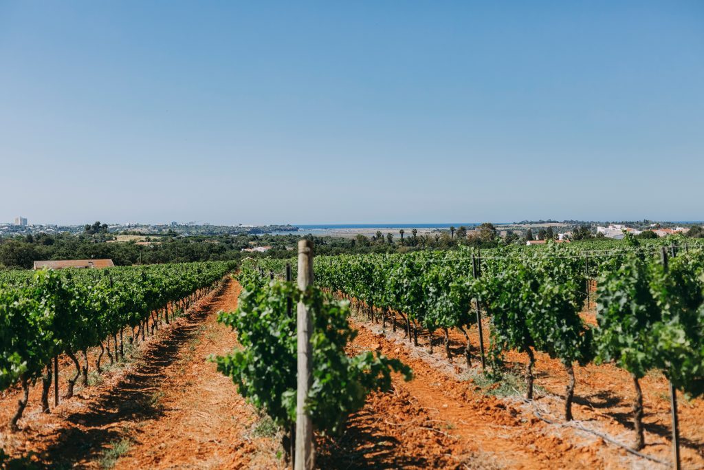 algarve