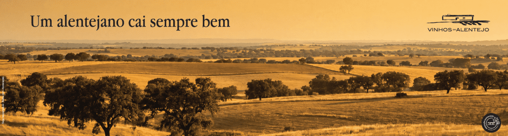 Vinhos & Sabores