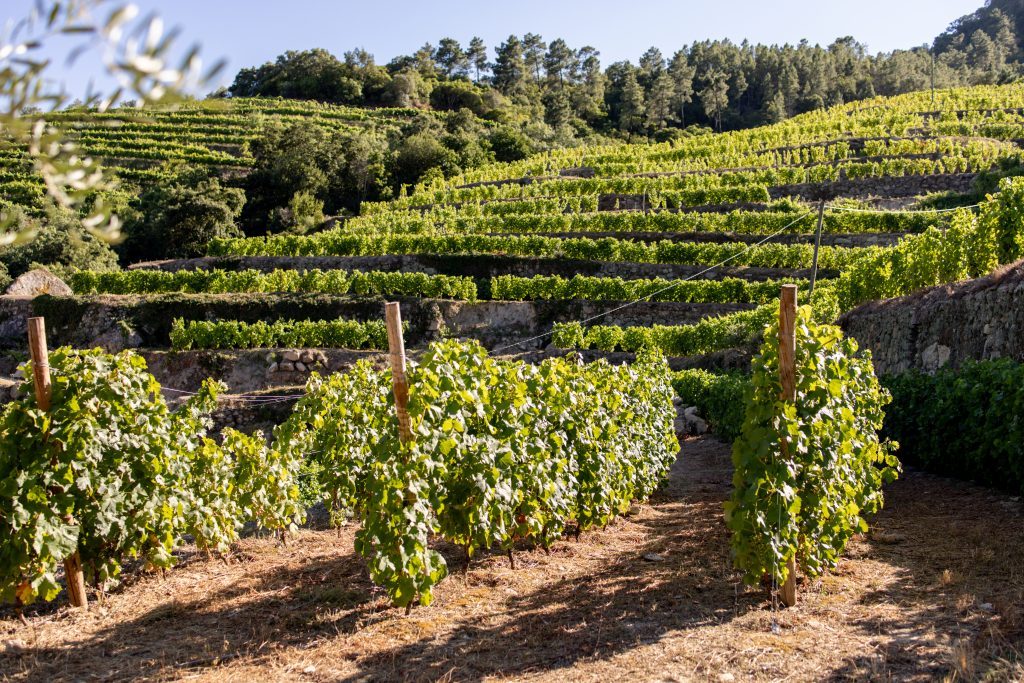 Quinta das Heredias