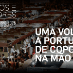 vinhos e sabores
