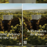 Vinhos de Lisboa com nova identidade visual