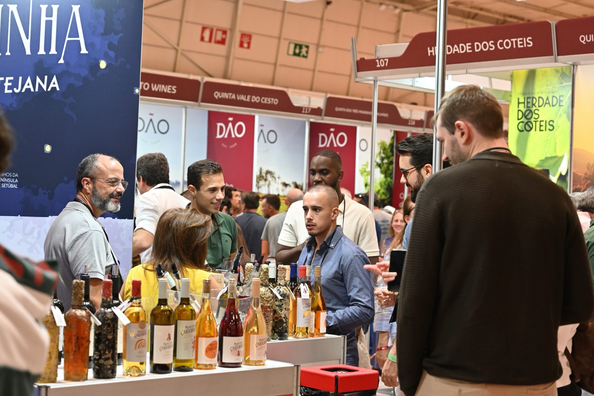 vinhos-e-sabores-17out26-578-01